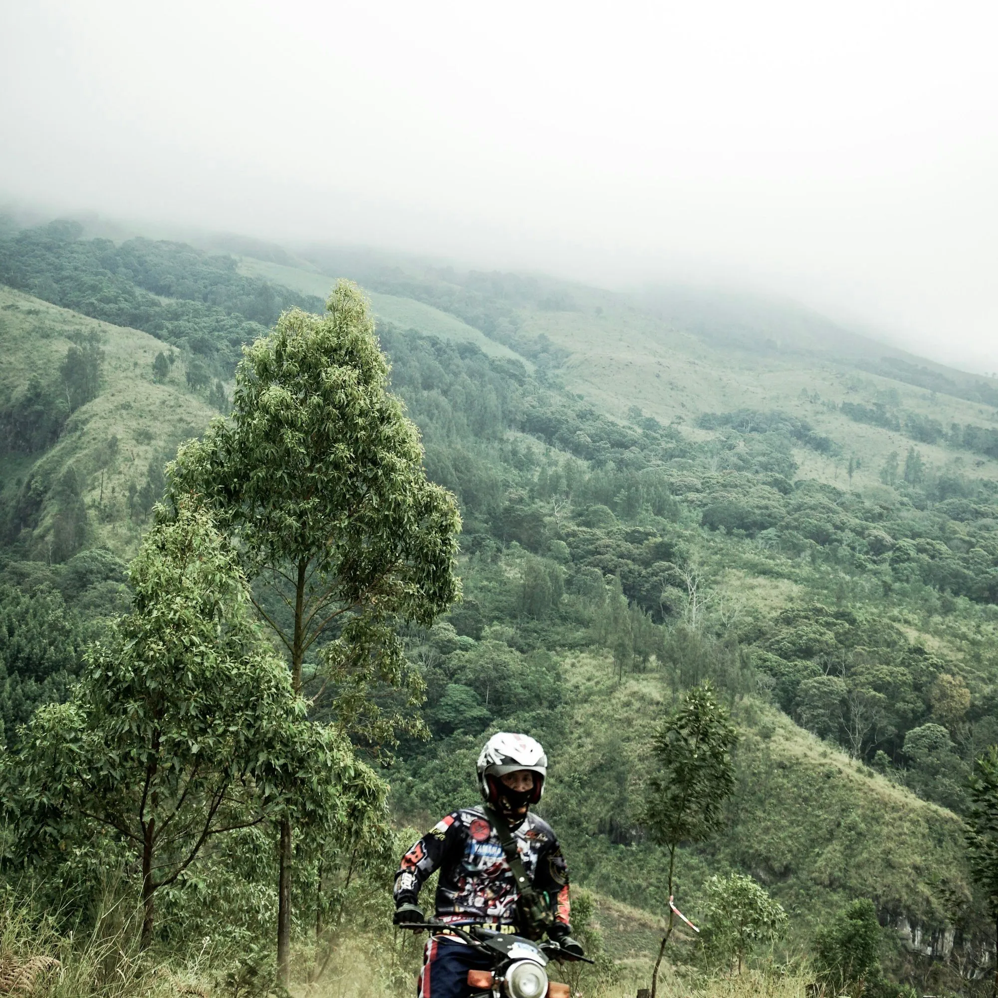A rider on a dirt bike kicking up dust on a hill trail under fog.